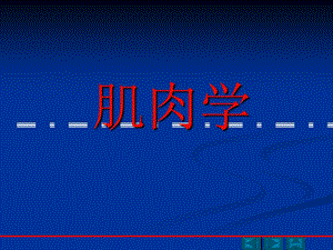 肌肉功能解剖.ppt