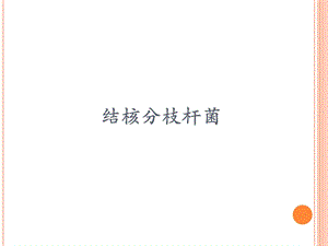结核分枝杆菌.ppt.ppt
