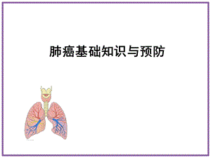 肺癌基础知识与预防.ppt