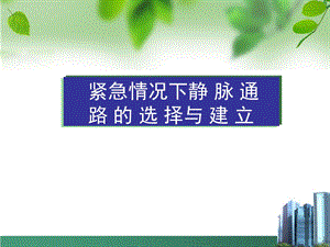 静脉通路.ppt