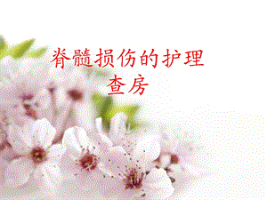 脊髓损伤的护理精要.ppt
