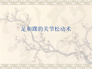 踝的关节松动术.ppt