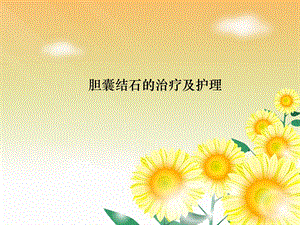 腹腔镜胆囊切除术的护理.ppt