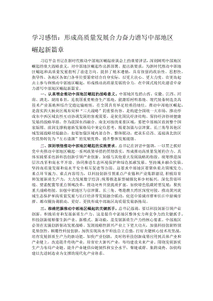 学习感悟：形成高质量发展合力奋力谱写中部地区崛起新篇章.docx