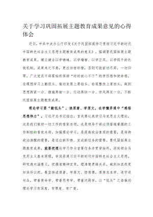 关于学习巩固拓展主题教育成果意见的心得体会.docx