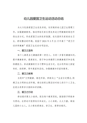 2024幼儿园爱国卫生运动活动总结十篇.docx