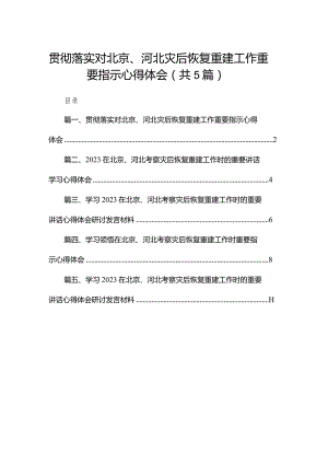 2024贯彻落实对北京、河北灾后恢复重建工作重要指示心得体会5篇供参考.docx