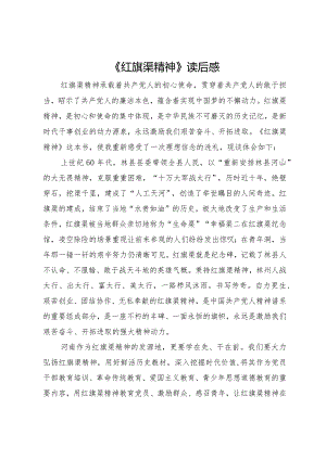 《红旗渠精神》读后感.docx