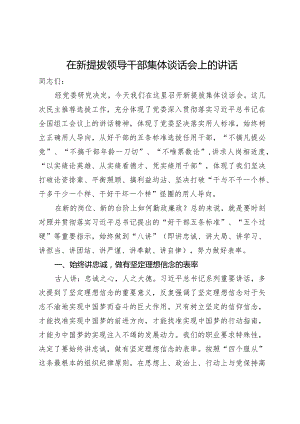 在新提拔领导干部集体谈话会上的讲话.docx