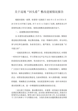 关于巡视“回头看”整改进展情况报告.docx