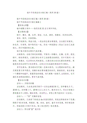 端午节促销活动方案汇编（通用30篇）.docx