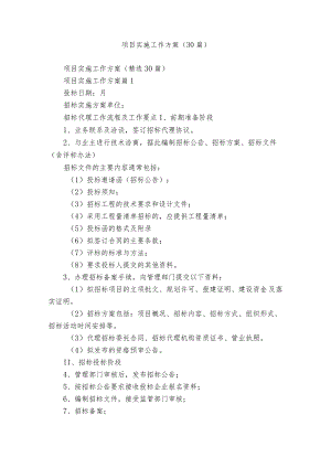 项目实施工作方案（30篇）.docx