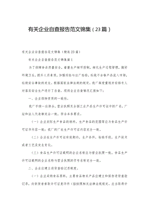 有关企业自查报告范文锦集（23篇）.docx