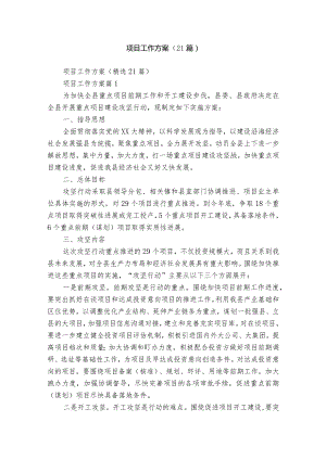 项目工作方案（21篇）.docx
