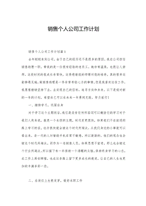 销售个人公司工作计划.docx