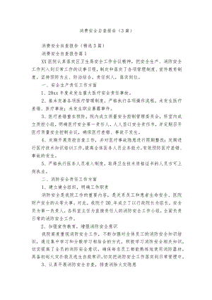 消费安全自查报告（3篇）.docx