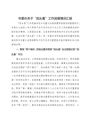 市委办关于“回头看”工作进展情况汇报.docx