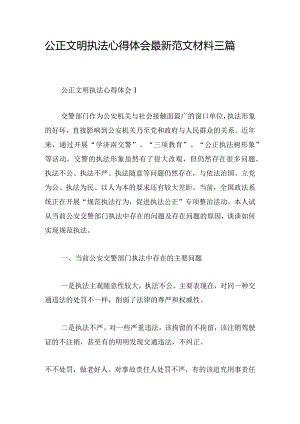 公正文明执法心得体会最新范文材料三篇.docx