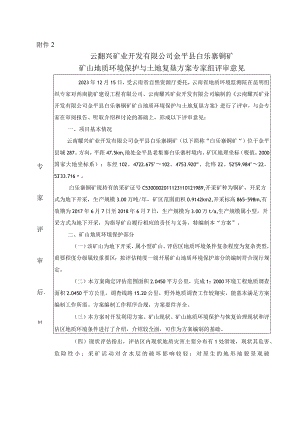 云南耀兴矿业开发有限公司金平县白乐寨铜矿矿山地质环境保护与土地复垦方案专家组意见.docx