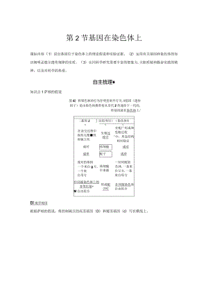 2023-2024学年人教版必修二基因在染色体上学案.docx