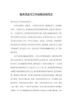 报关员实习工作自我总结范文.docx