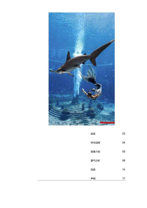 中国入境旅游市场景气报告2024.docx