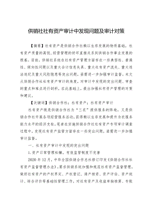 供销社社有资产审计中发现问题及审计对策.docx