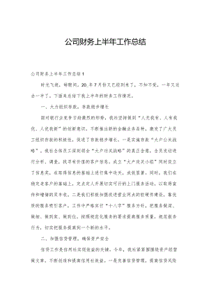 公司财务上半年工作总结.docx