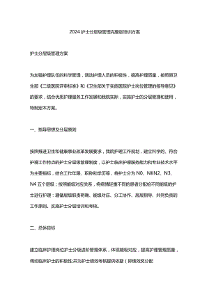 2024护士分层级管理完整版培训方案.docx