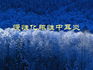 28慢性化脓性中耳炎.ppt