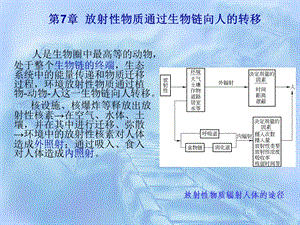 核环境监测与评价 第7章 放射性物质通过生物链向人的转移.ppt