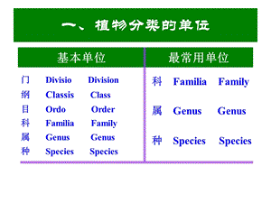 景观植物分类理论.ppt