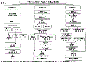 村集体经济组织“三资”管理工作流程.ppt