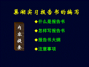 巢湖实习报告书的编写讲课.ppt
