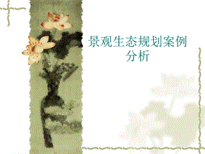 景观生态规划案例分析.ppt
