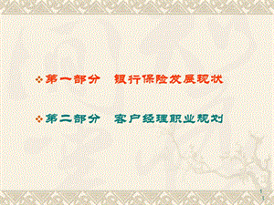 银保发展规划.ppt