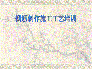 钢筋制作施工工艺培训.ppt