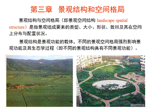 景观生态学第3章1.ppt