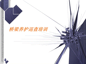 桥梁养护巡查管理培训.ppt
