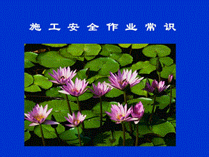 施工安全作业常识安全教育訓練（公司级） .ppt