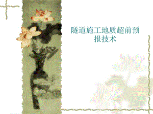 隧道施工地质超前预报技术.ppt