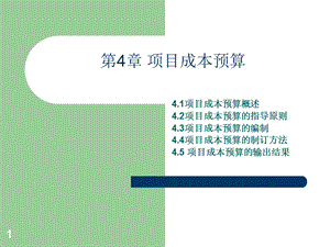项目成本预算.ppt