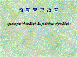 预算管理改革.ppt