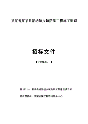 江西某防洪工程施工监理招标文件.doc
