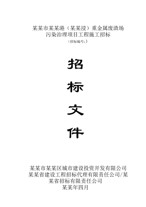 湖南某重金属废渣场污染治理项目施工招标文件.doc