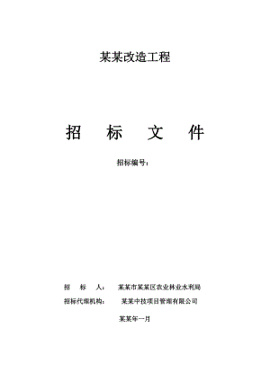湖南某撇洪渠改造工程施工招标.doc