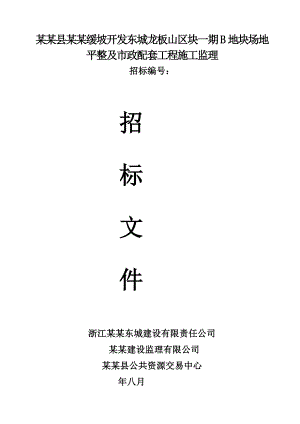 浙江某地块市政配套工程施工监理招标文件.doc