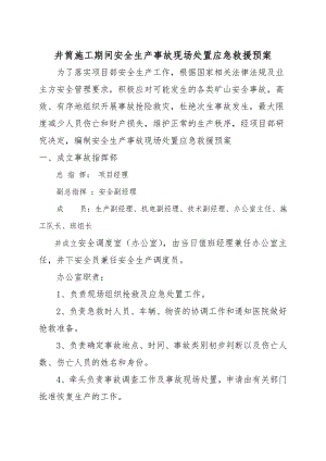 井筒施工期间安全生产事故现场处置应急救援预案定稿.doc