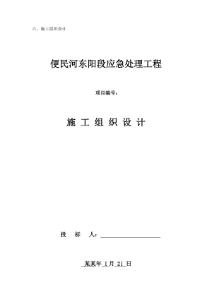 便民河东阳段应急处理工程施工组织设计.doc