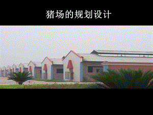 猪场的规划设计.ppt